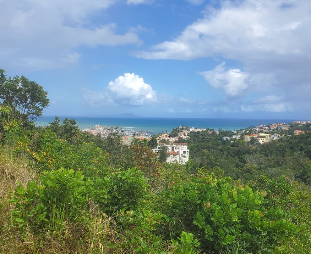 Harbour Lights Estates Lot 37 Palmas del Mar Resort Humacao Puerto Rico